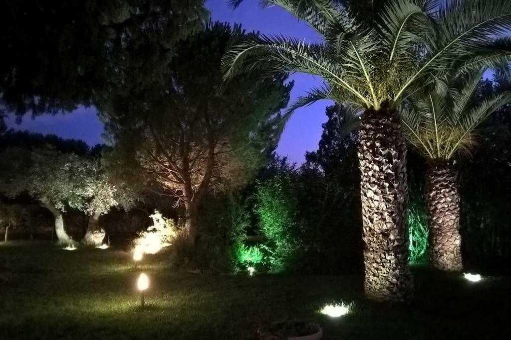 La Casetta Del Pettirosso Villa Conversano Exteriör bild
